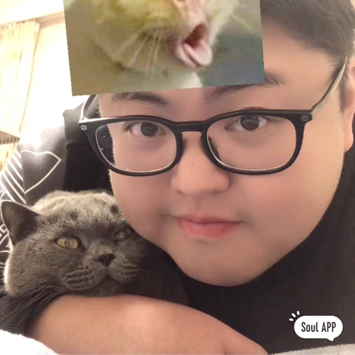 红叶乱水月的照片