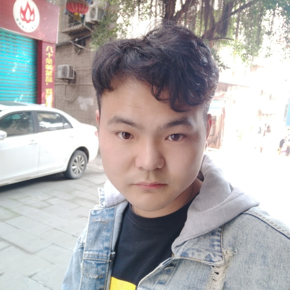 北街与猫的照片