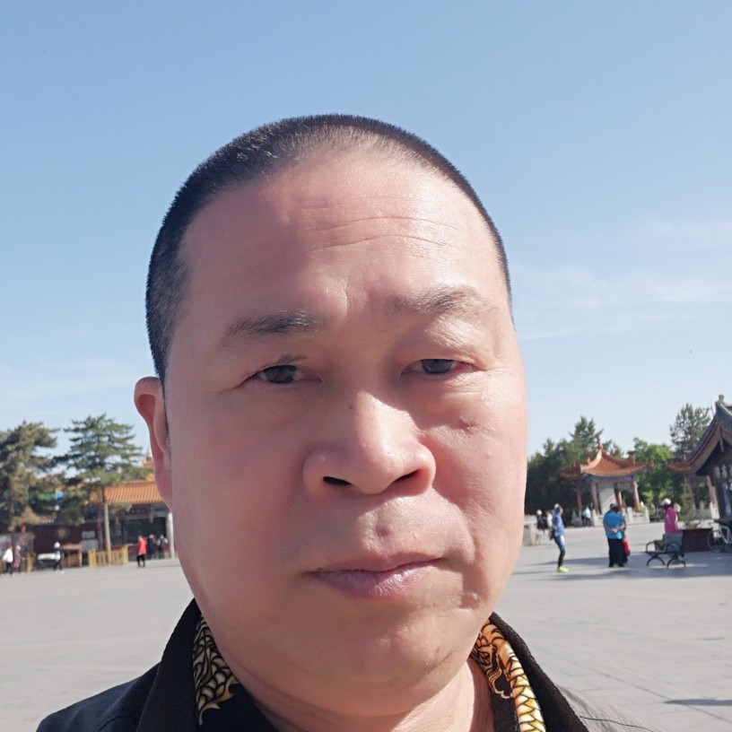 斑驳等待蚂蚁的照片
