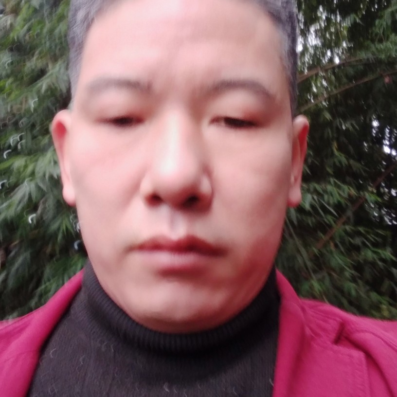 陶醉梦影的照片