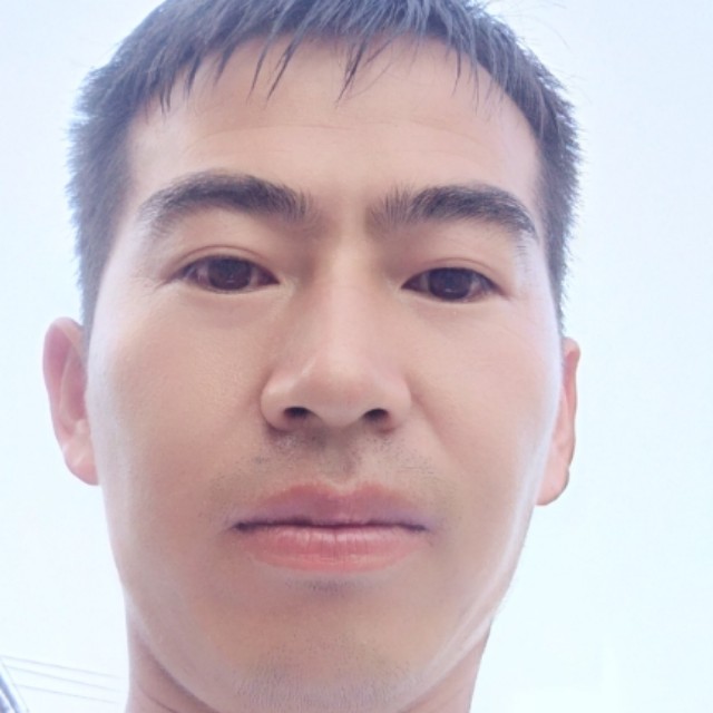 随风叶子的照片