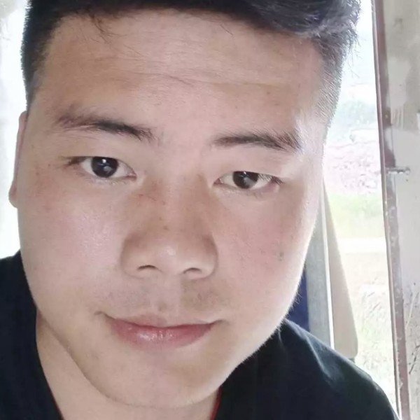 幽默洋葱的照片