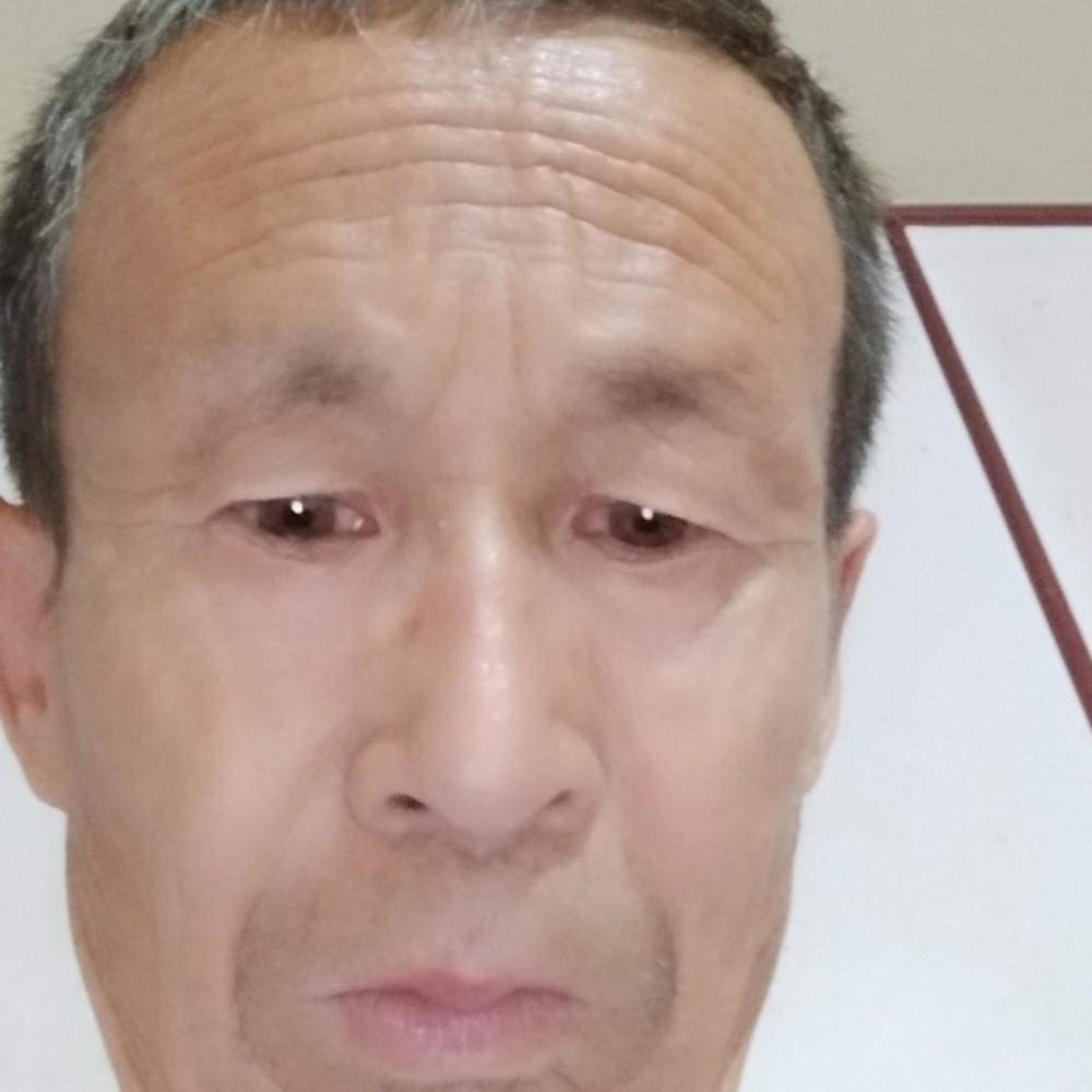 兴奋迎小海豚的照片
