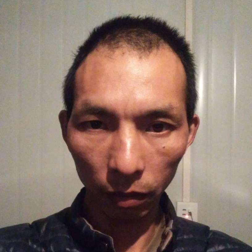 黄豆野性的照片