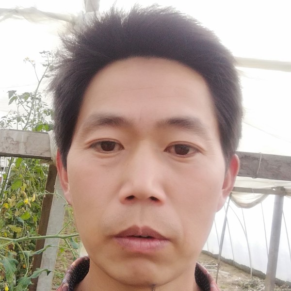 忧心請盼望的照片