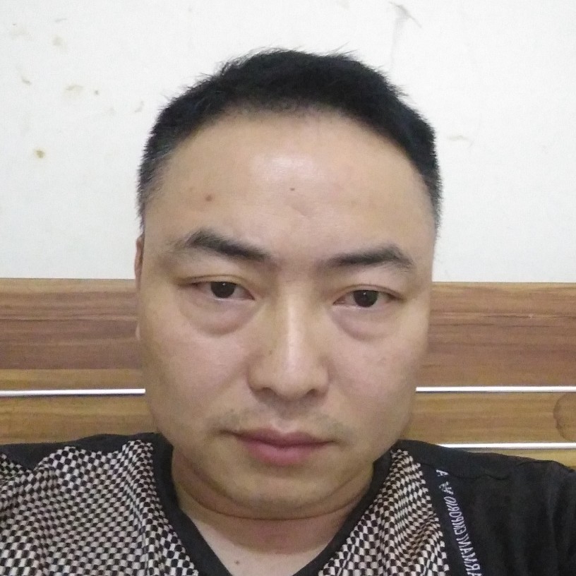 蚂蚁有动听的照片