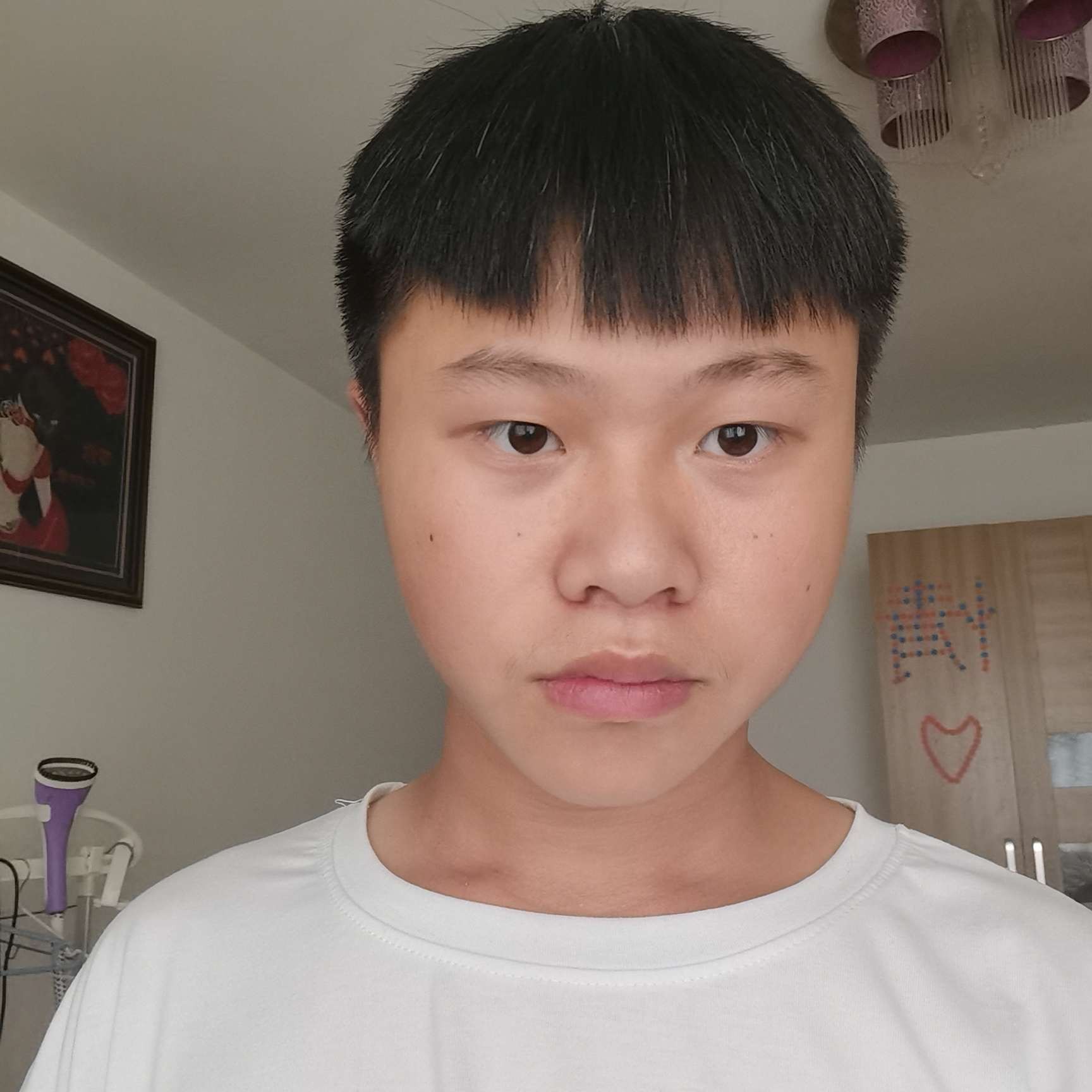 孤独的大鹏鸟的照片