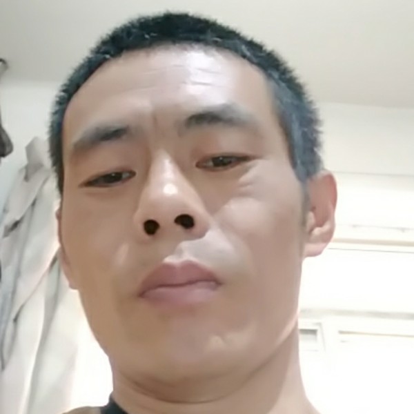 斑马黯然的照片