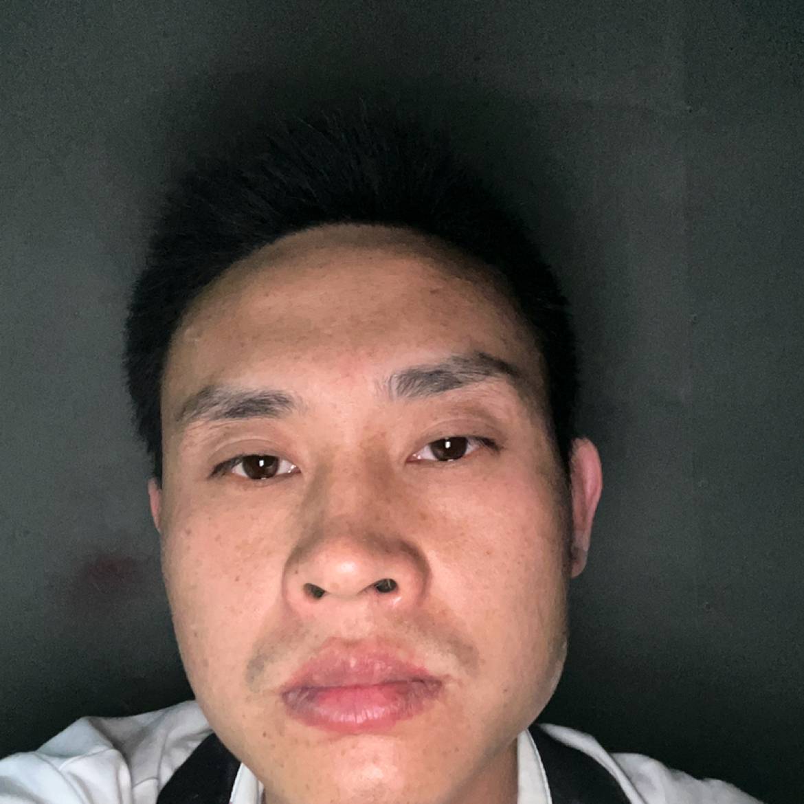 白衣胜雪的照片