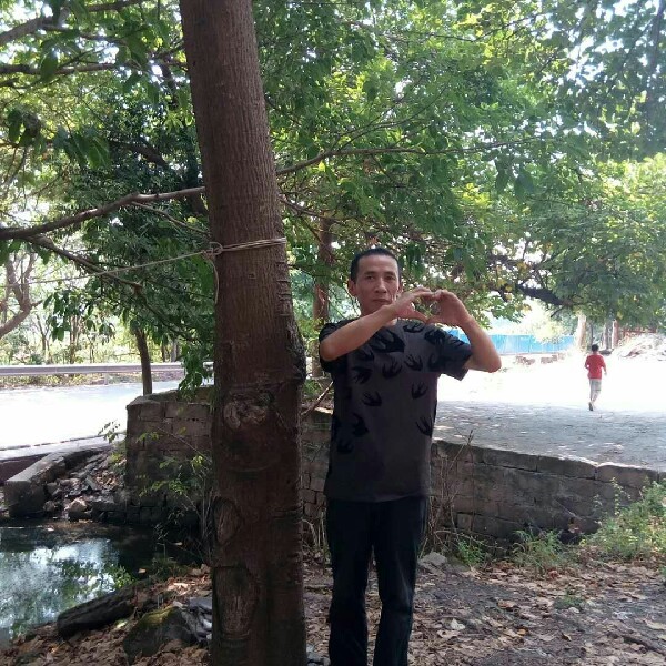 透彻浅吻太阳的照片
