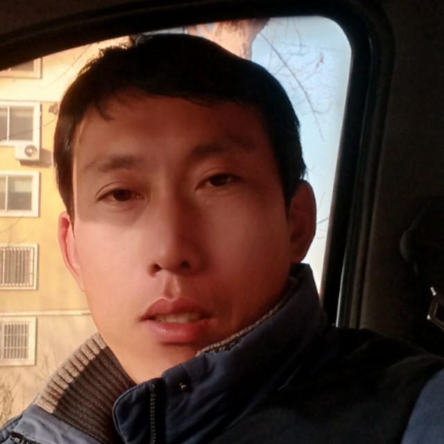 朴素野狼的照片