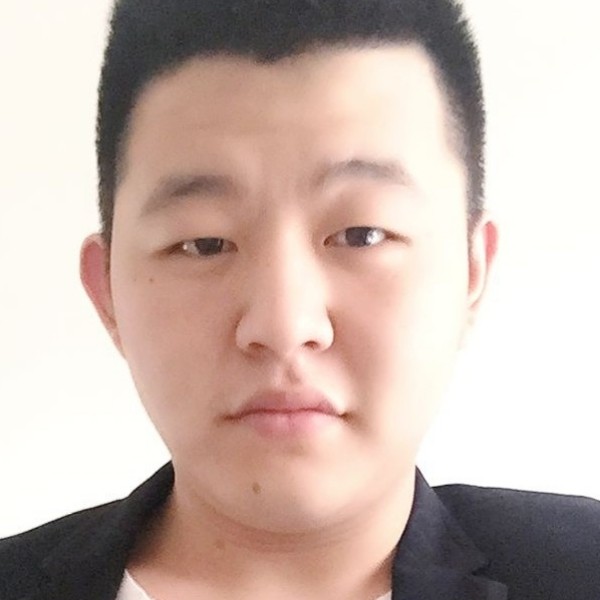 简单黑猫的照片