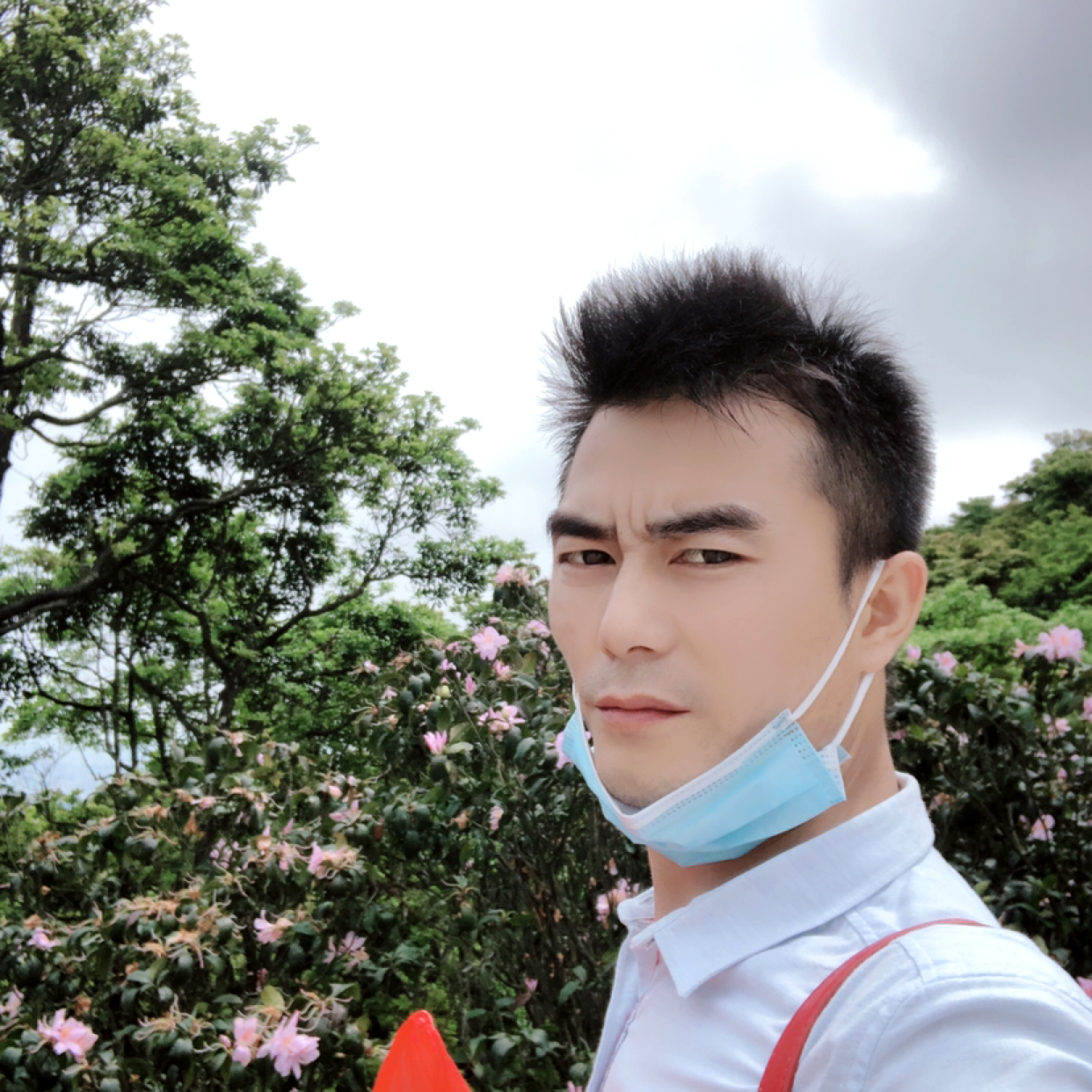 枕头说如意的照片