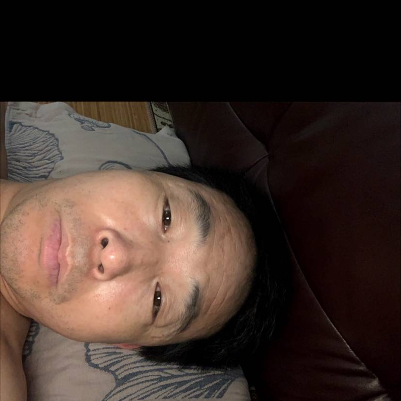老虎年轻的照片
