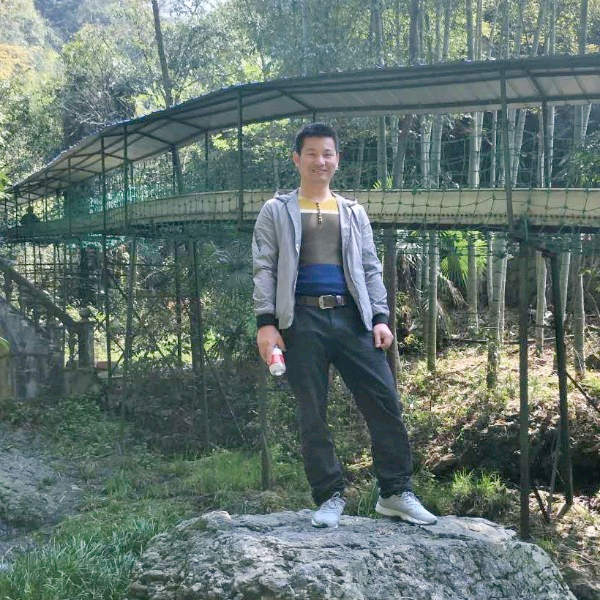 高挑蝶舞的照片