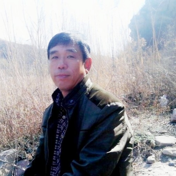 虚心长颈鹿的照片