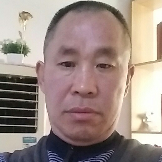 单生向日葵的照片