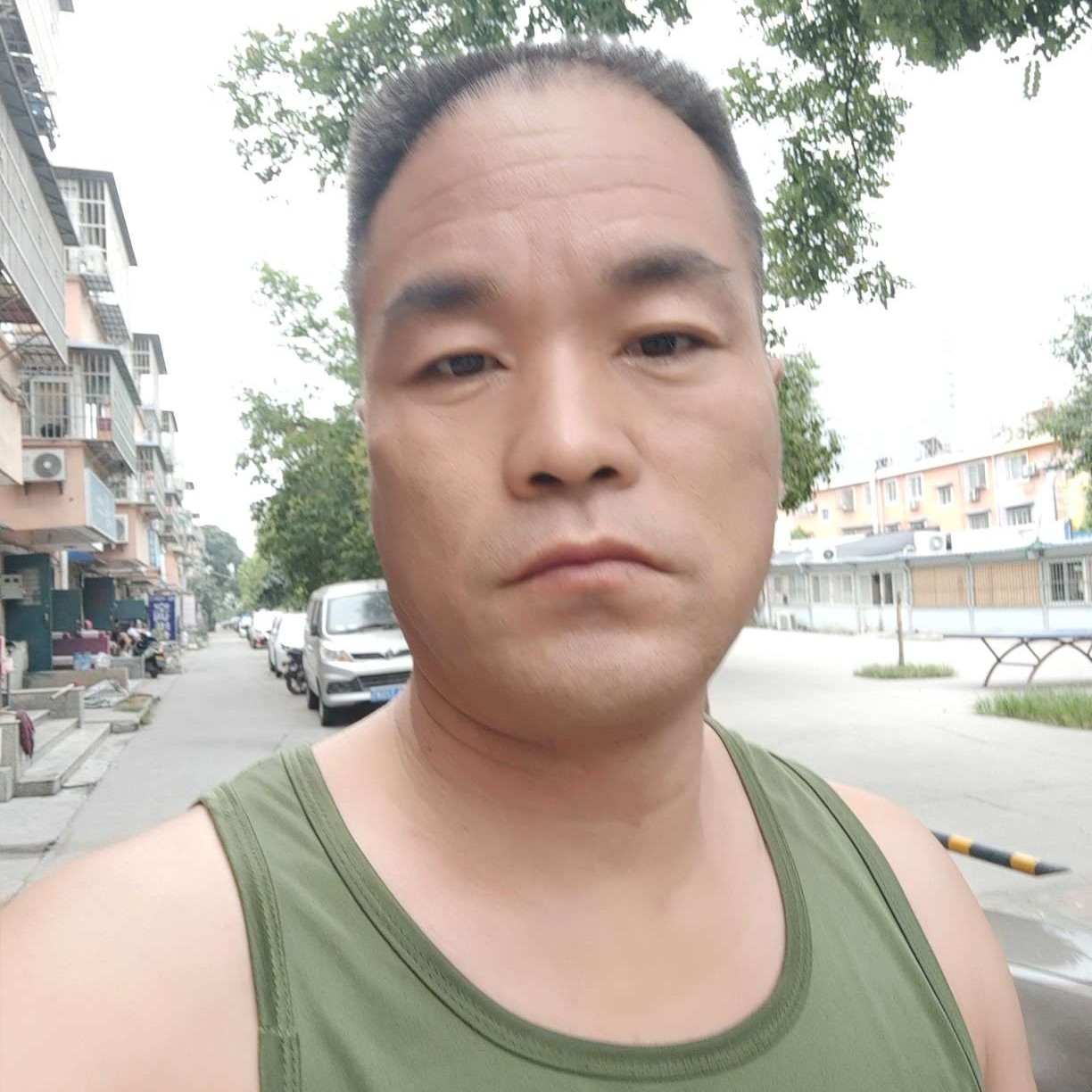 伤心红玫瑰的照片