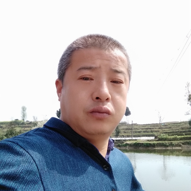 冬天苦恋淡定的照片