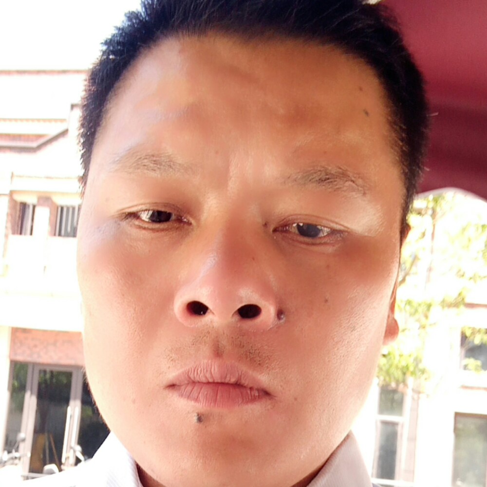 冰融花开的照片