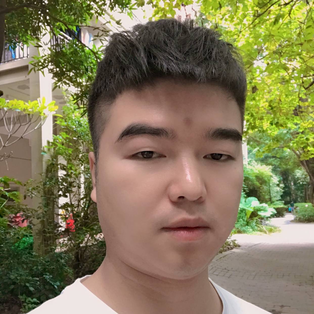 黑猫还轻松的照片