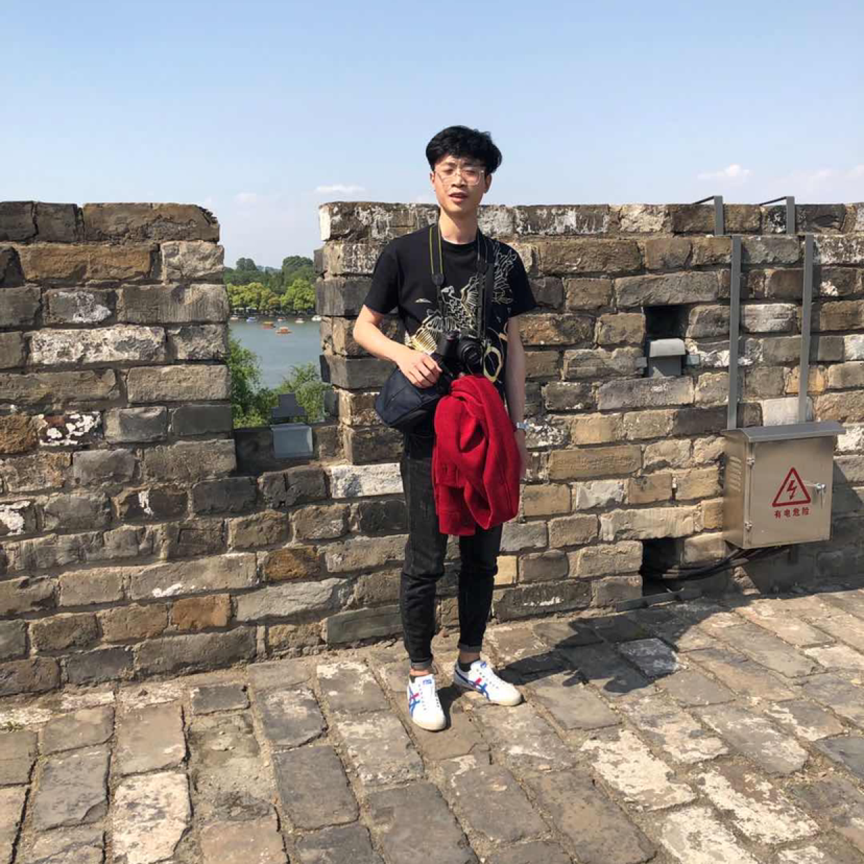 灰狼回首明理的照片