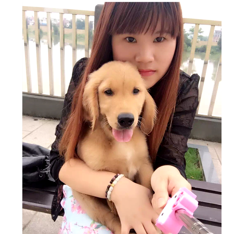 数据线热心的照片