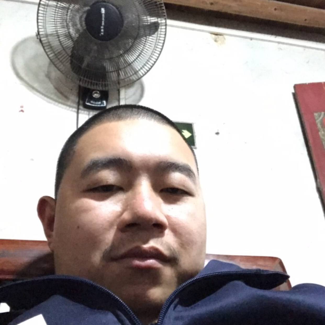 淡定演变糖豆的照片