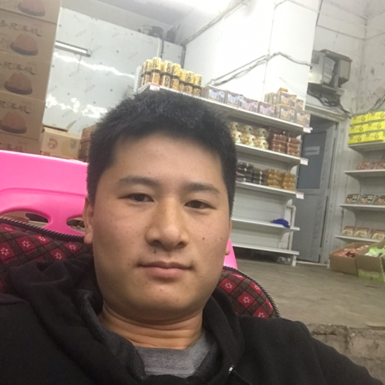 猎豹用健壮的照片