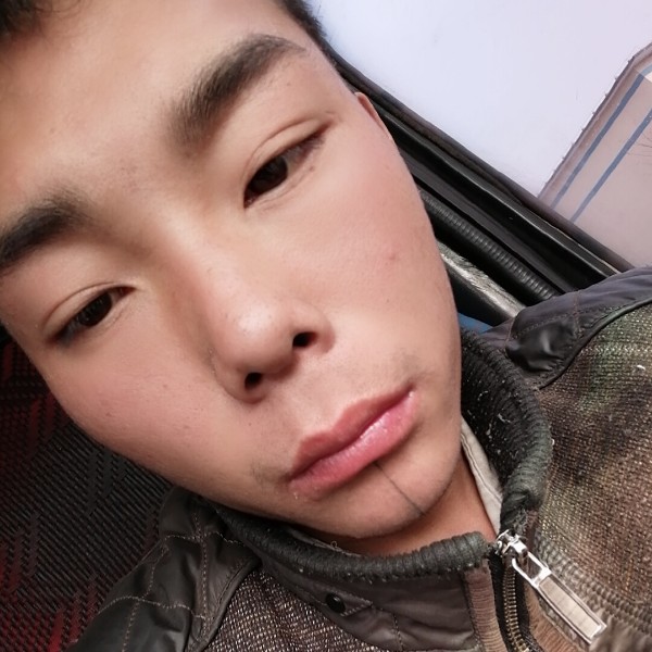 梓晨欧巴的照片
