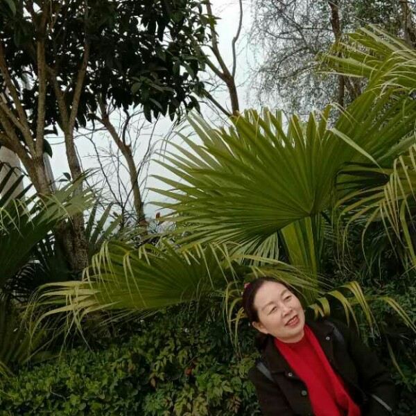书本明媚的照片