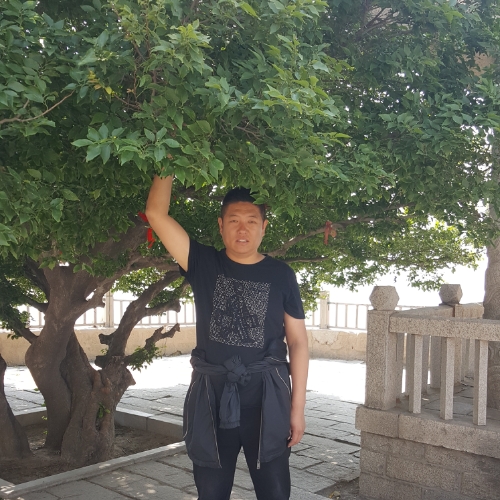 执着孤鹰的照片