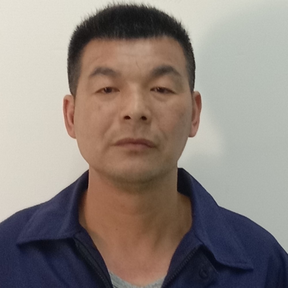 氓哥回来的照片