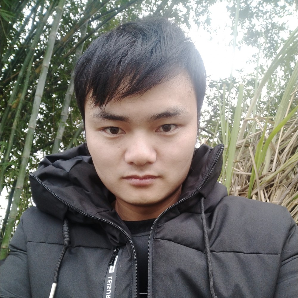 笨笨网络的照片