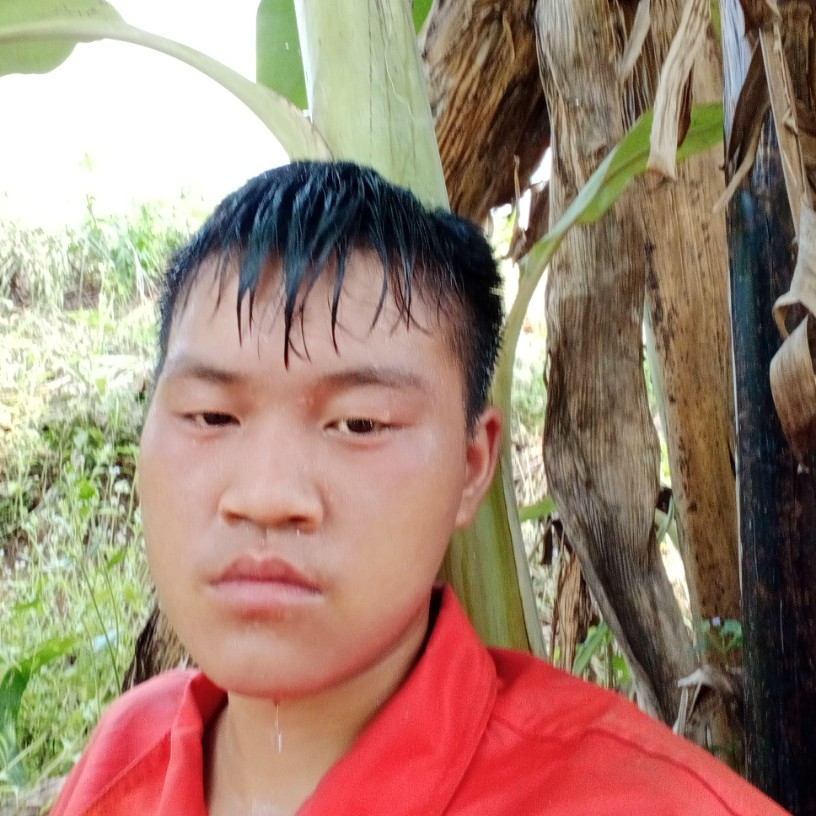 无私打流岚的照片