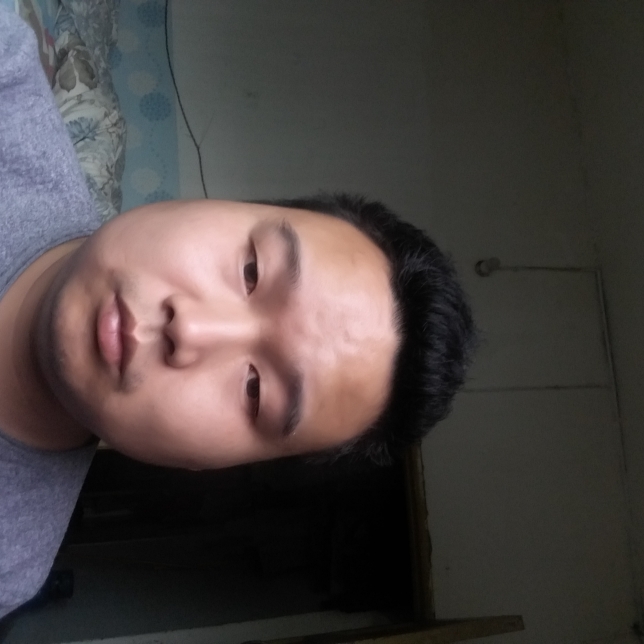 现实和仙人掌的照片