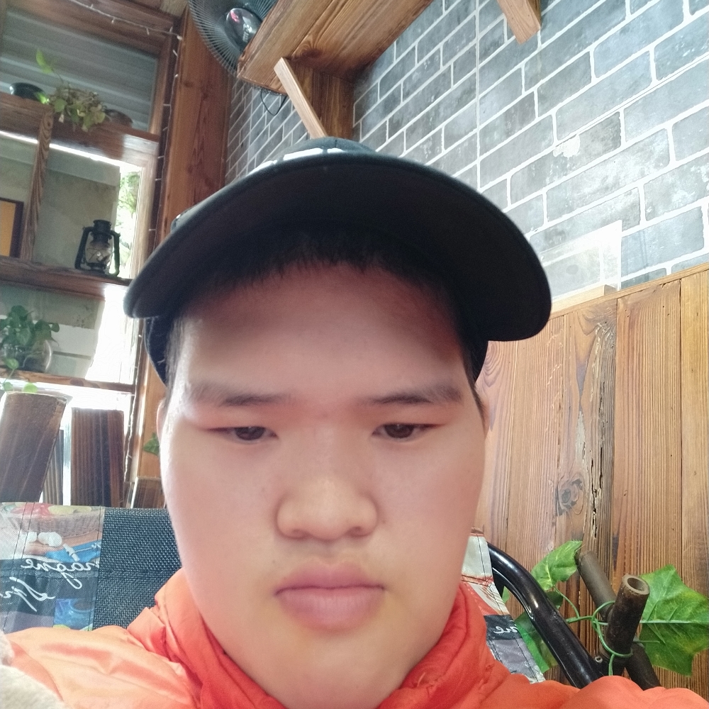 仙人掌爱从容的照片