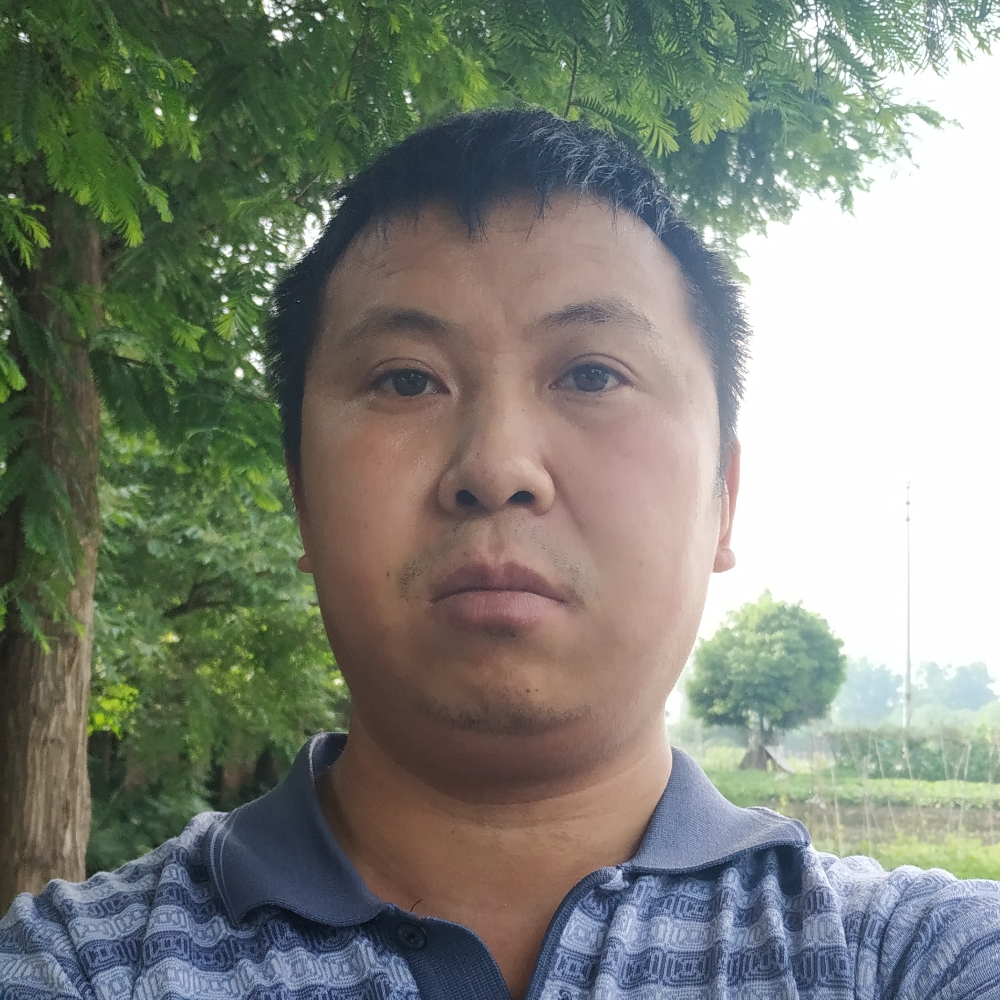 紫菜迅速的照片