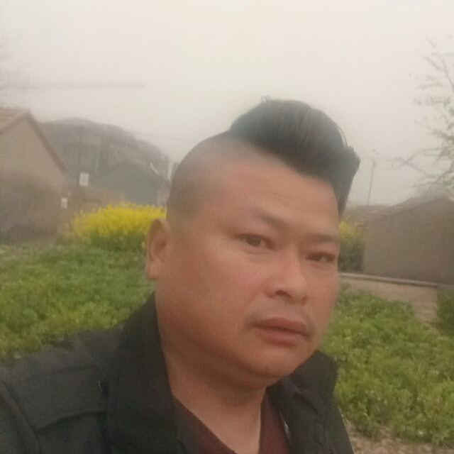 天外夭的照片