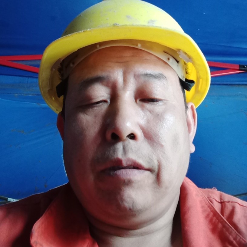 仙人掌停止忧伤的照片
