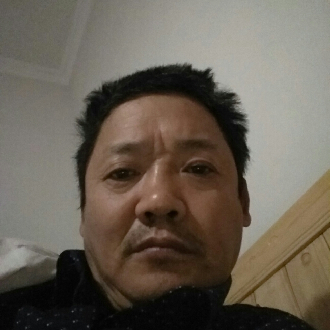 标致母鸡的照片
