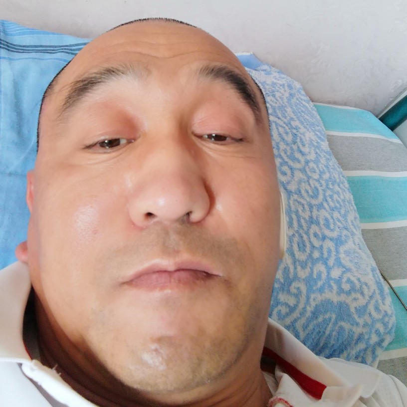红牛的懵懂的照片
