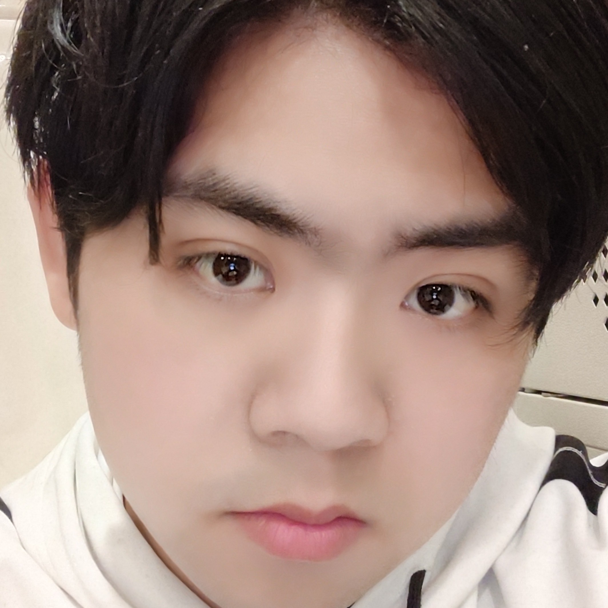 会员955118037的照片