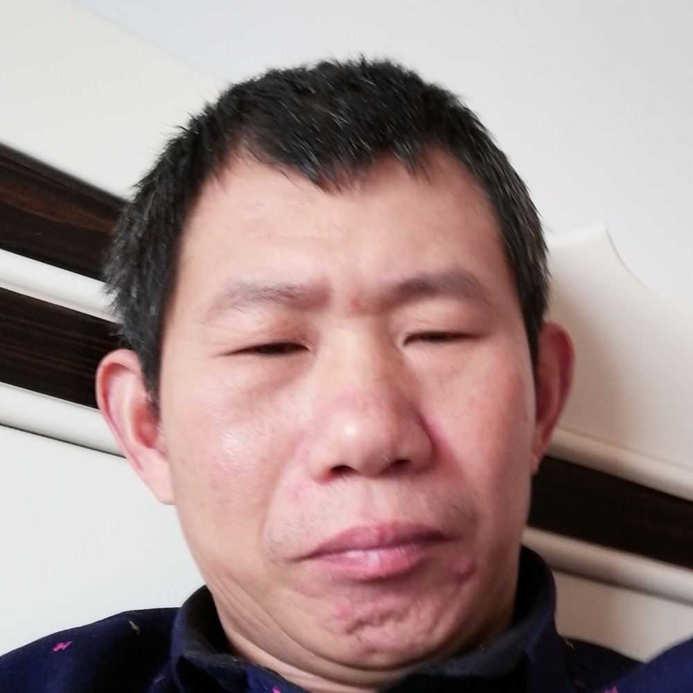 后来小猫咪的照片
