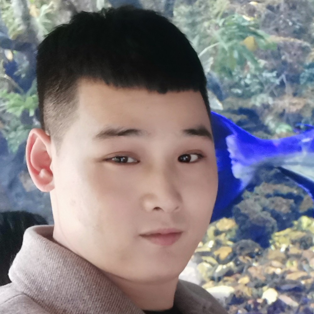 野性那黑夜的照片