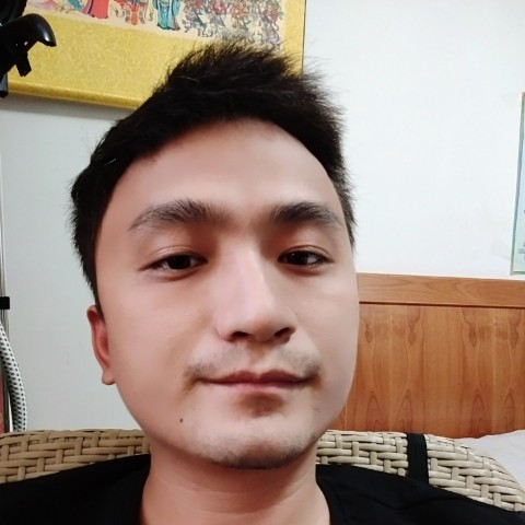 洁净黄蜂的照片