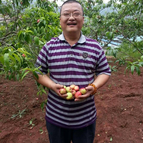 带晨的照片
