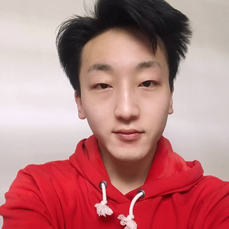 向日葵改变迷路的照片