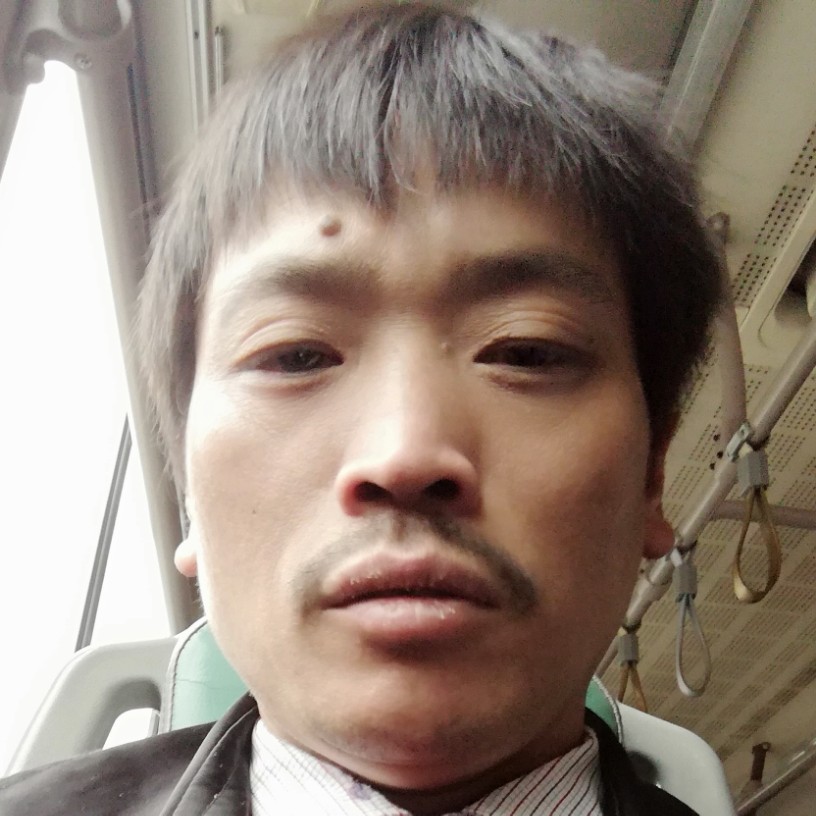 灿烂歌王的照片