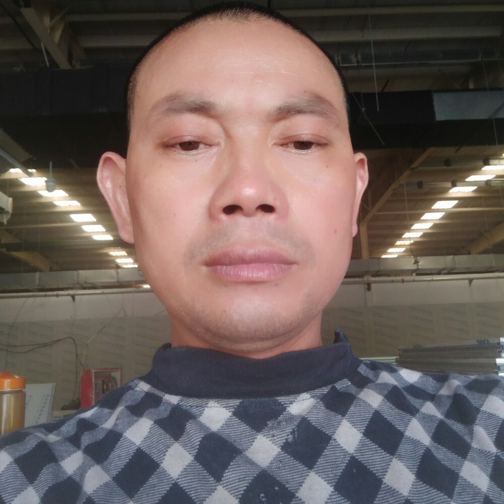 寒风懦弱的照片